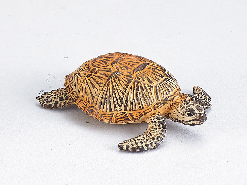 Sea Turtle Static Model