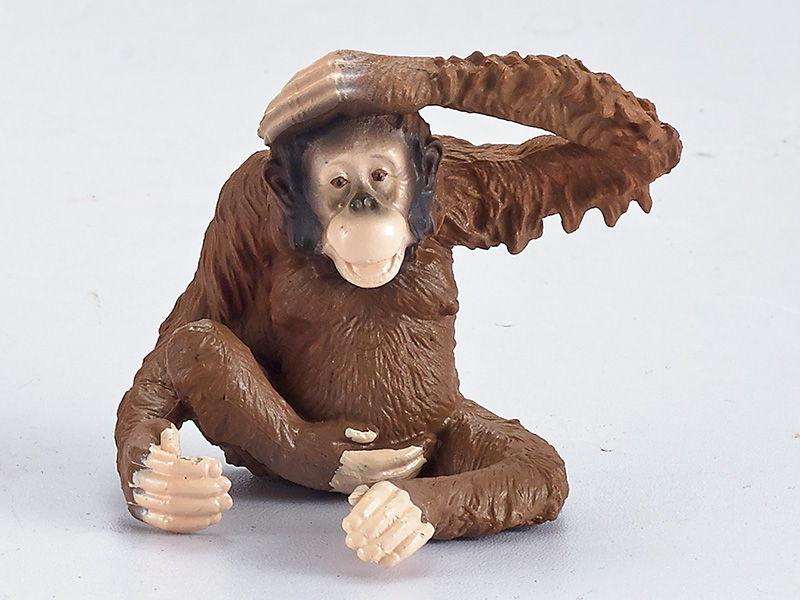 Baboon Static Model