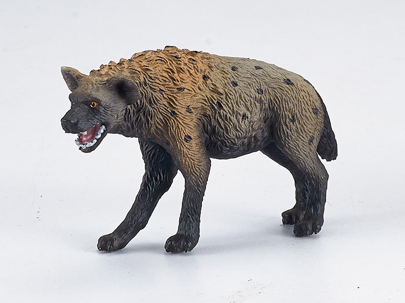 Hyena Static Model