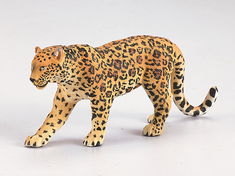 Leopard Static Model