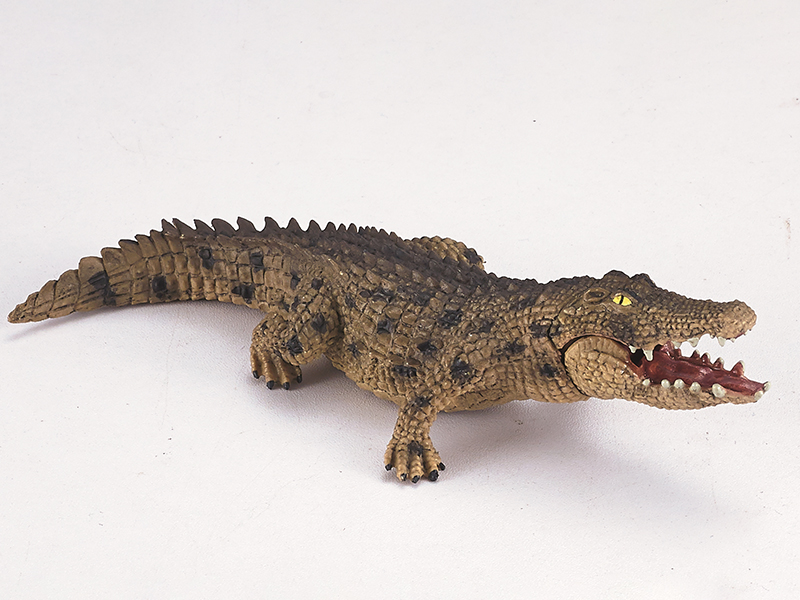 Crocodile Static Model
