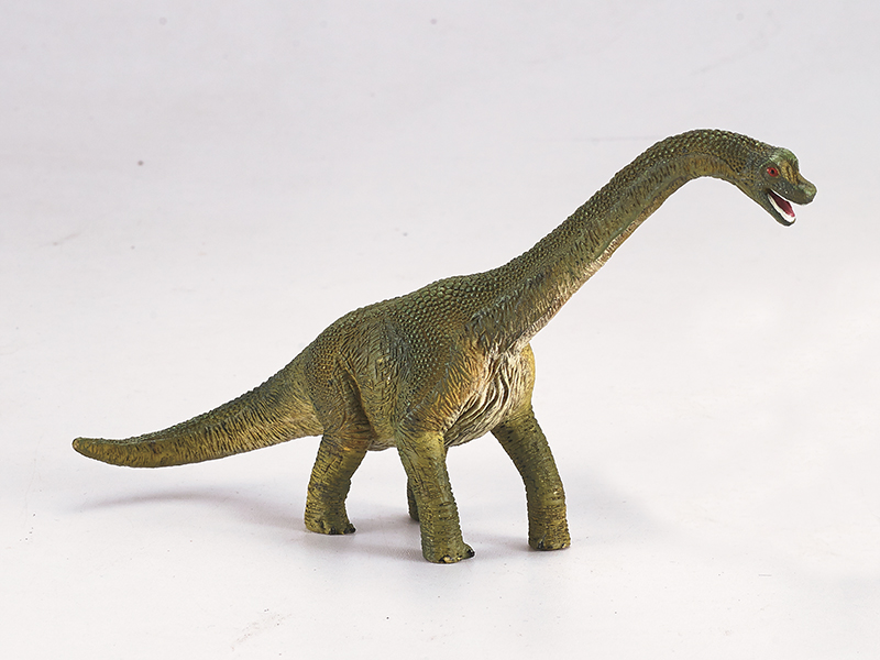 Brachiosaurus Static Model