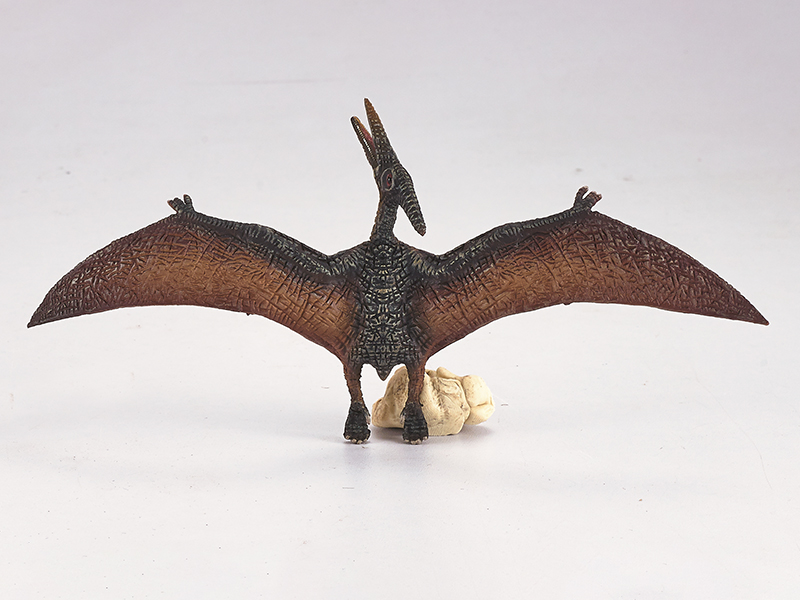 Pteranodon Static Model