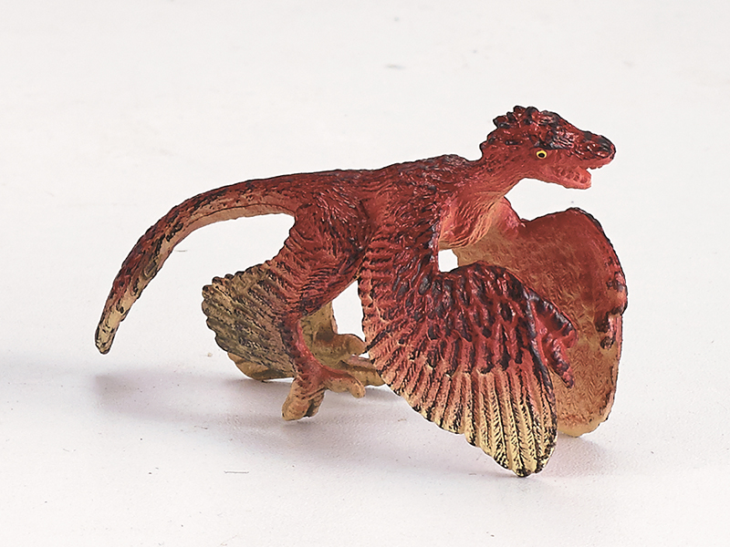 Archaeopteryx Static Model