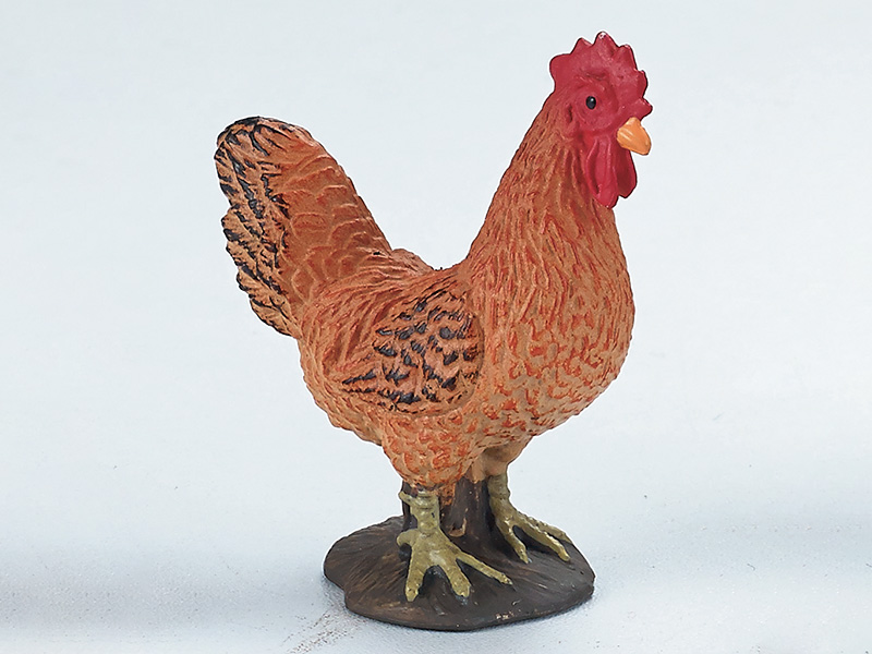Hen Static Model