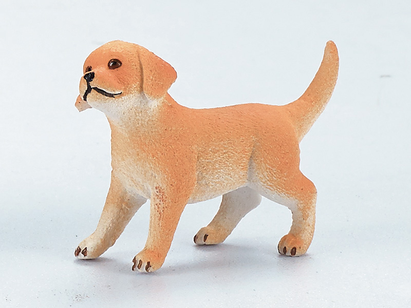 Dog Static Model