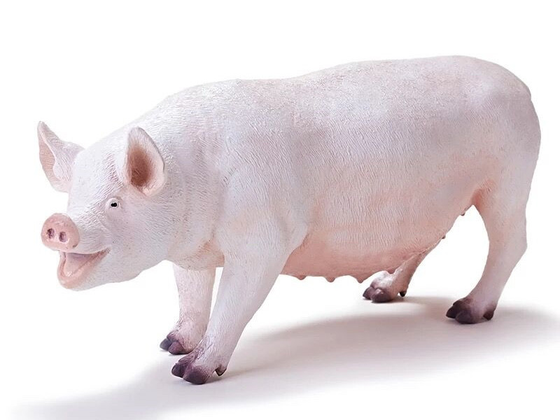 Vinyl Animal Model - Pig