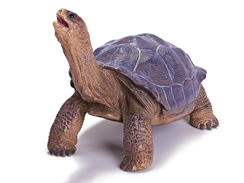 Vinyl Animal Model - Geochelone