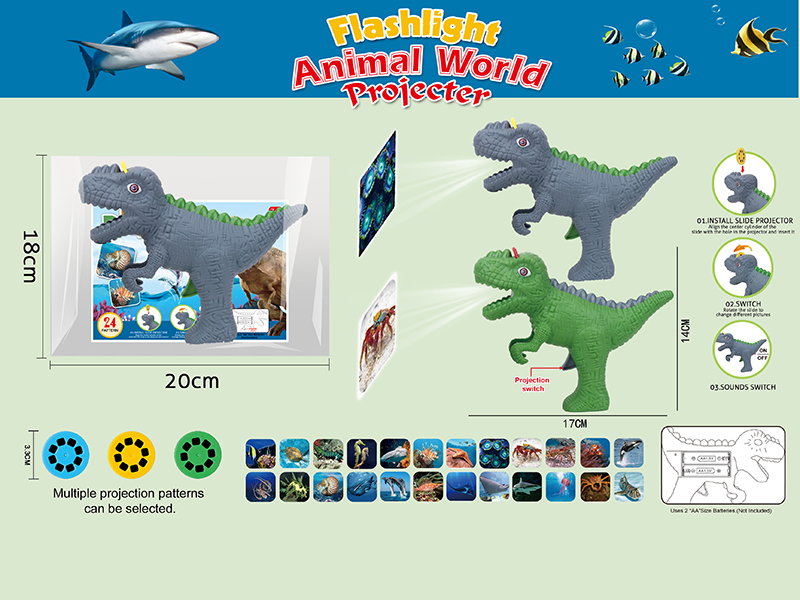 Dinosaur Projector(Sea World)