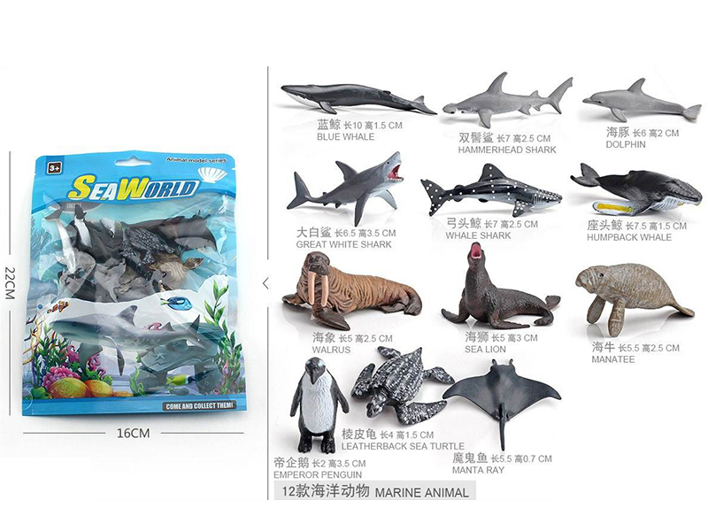 Sea Animals Set(12)