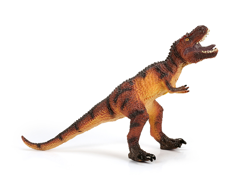 Large Size Tyrannosaurus Rex