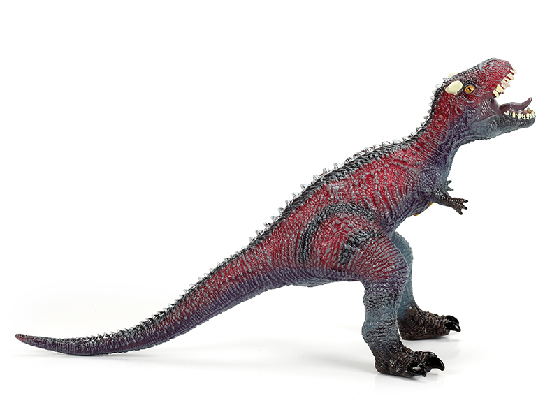 Large Size Torosaurus