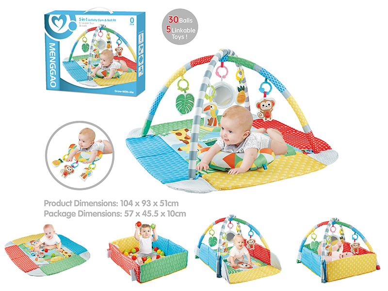 5 In 1 Activity Gym & Ball Pit(30PCS 5CM Ocean Balls, With Pillow)