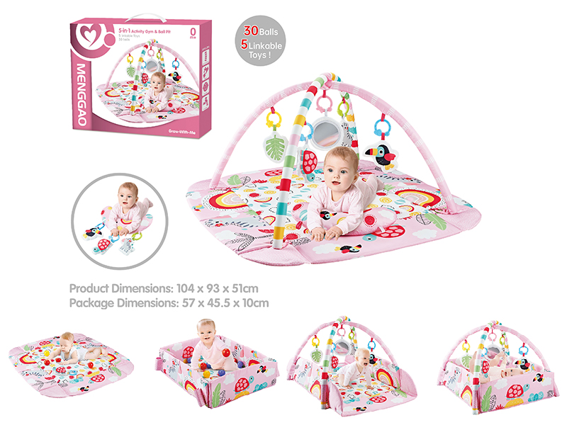 5 In 1 Activity Gym & Ball Pit(30PCS 5CM Ocean Balls, With Pillow)