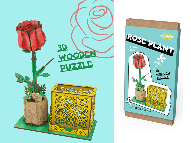 3D Wooden Puzzle Series