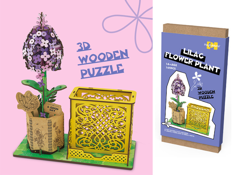 3D Wooden Puzzle Series