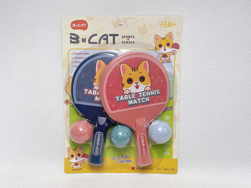 Table Tennis Sports Set