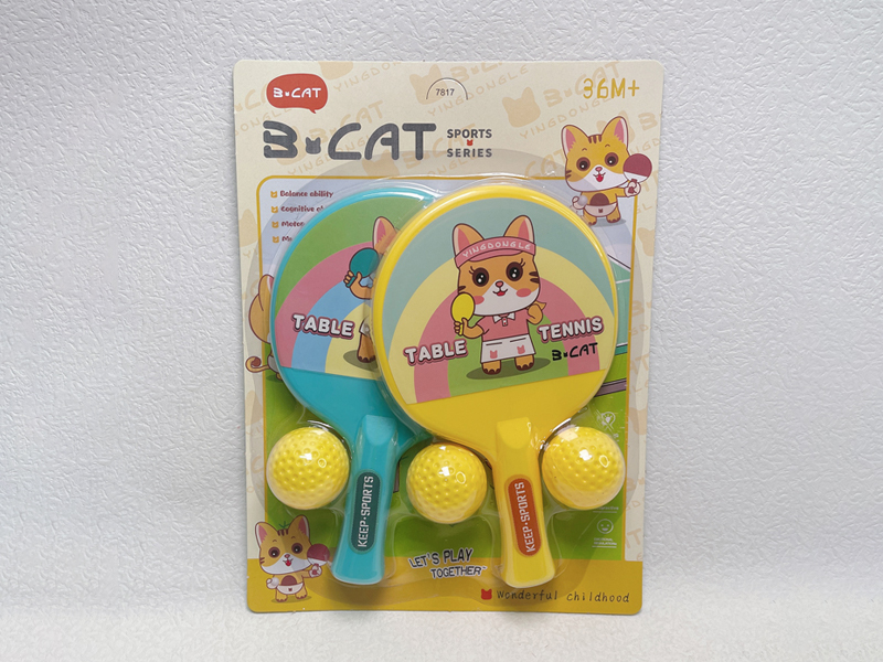 Table Tennis Sports Set