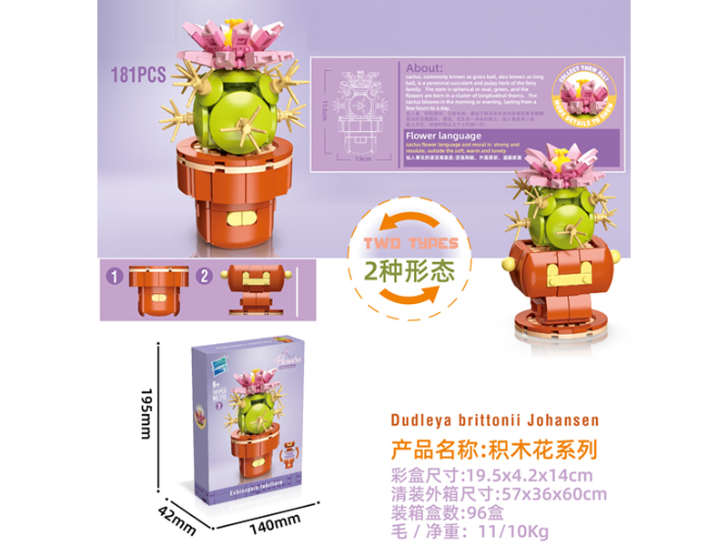 Building Block Flower Serie 181PCS