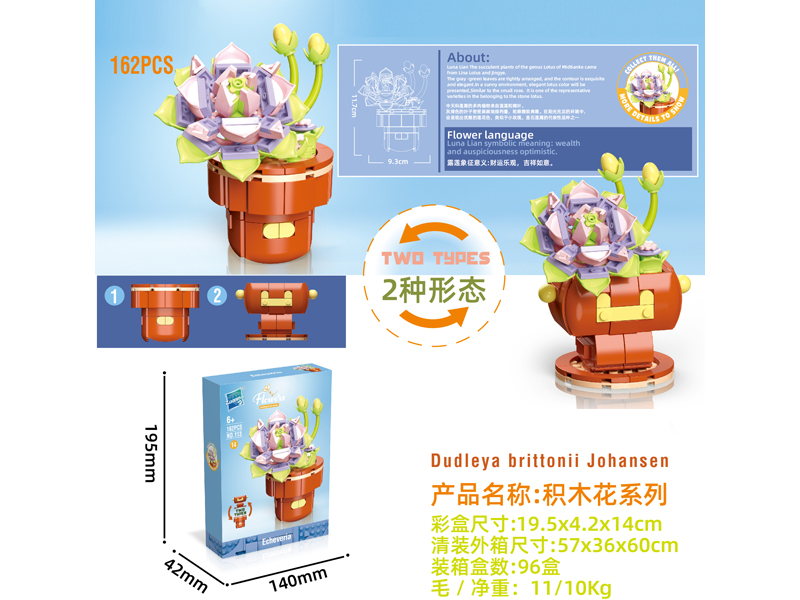 Building Block Flower Serie 162PCS