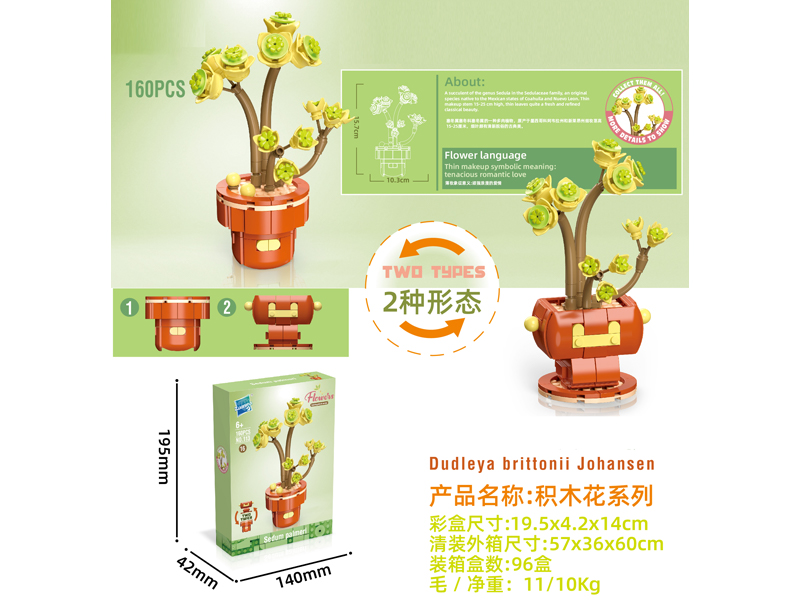 Building Block Flower Serie 160PCS