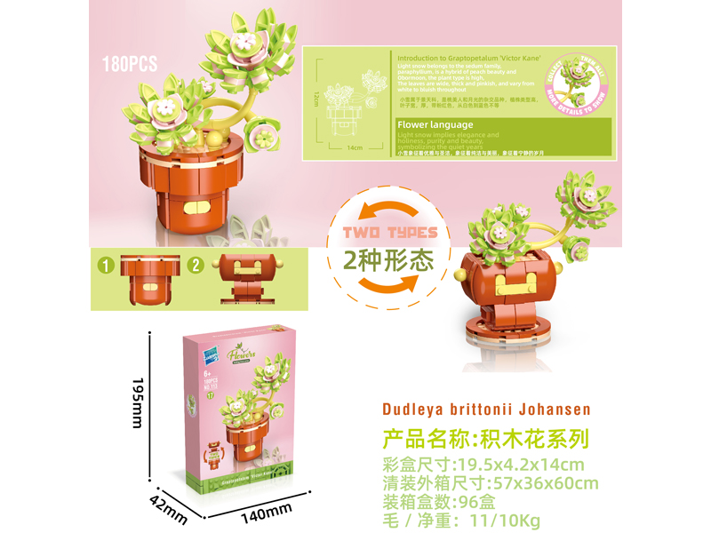 Building Block Flower Serie 180PCS