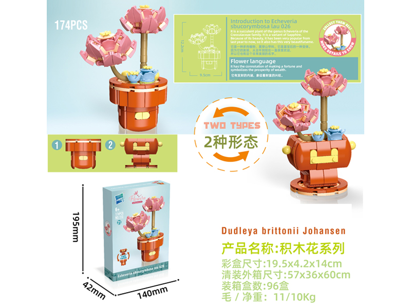 Building Block Flower Serie 174PCS
