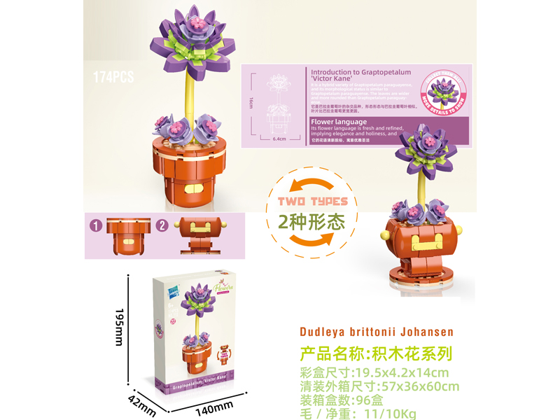 Building Block Flower Serie 174PCS