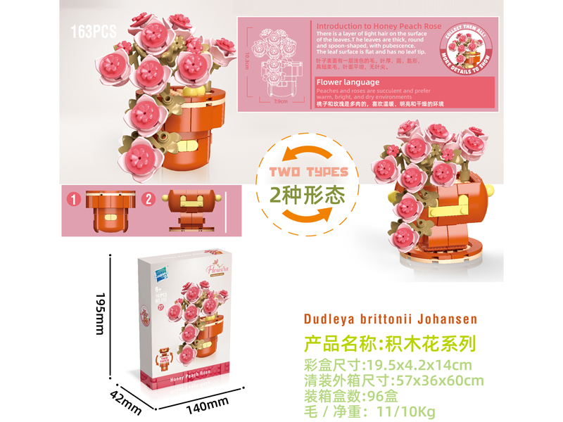 Building Block Flower Serie 163PCS