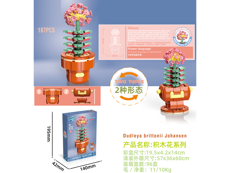 Building Block Flower Serie 187PCS