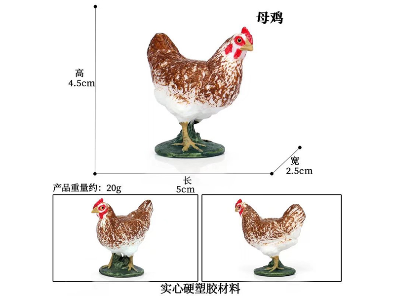 Environmental Solid Animals Model - Hen