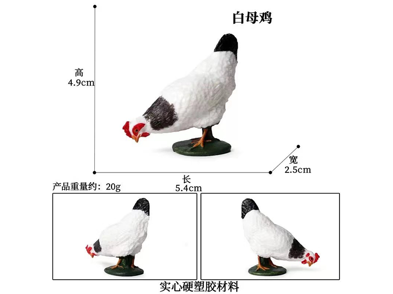 Environmental Solid Animals Model - White Hen