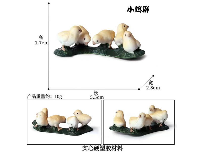 Environmental Solid Animals Model - Chick