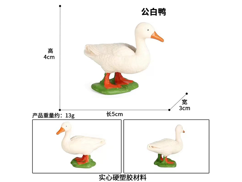 Environmental Solid Animals Model - Drake