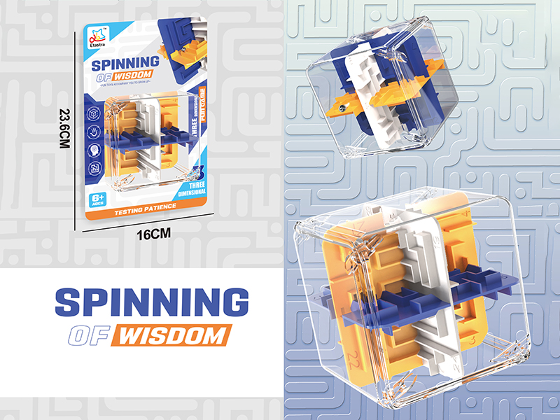 24 Sided Solid Color 3D Maze