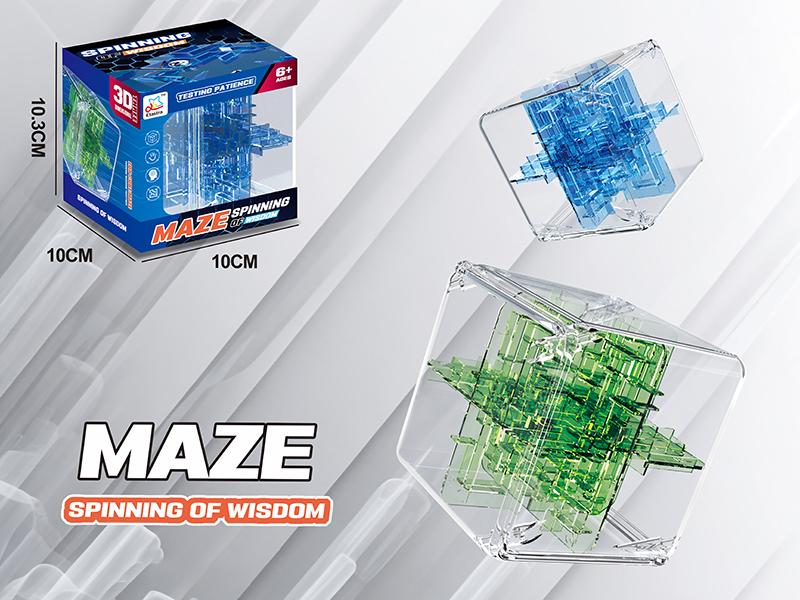 24 Sided Transparent 3D Maze