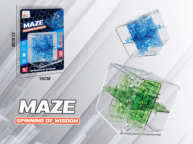 24 Sided Transparent 3D Maze