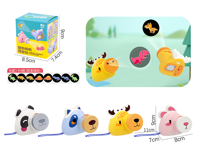 Camera Dynamic Projector