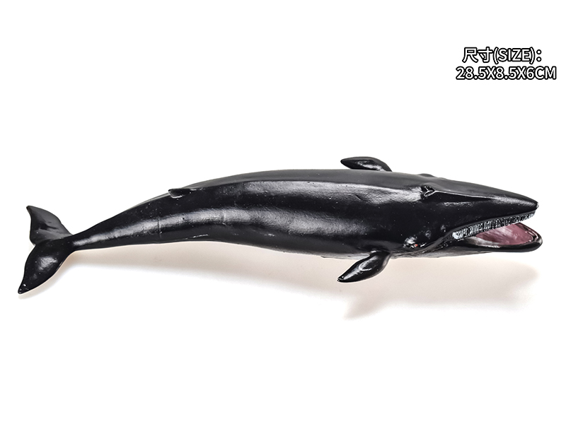 Vinyl Stuffed Sea Animal Model - Blue Whale
