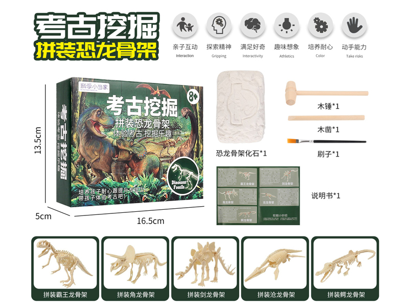 Archaeological Excavation Of Dinosaurs