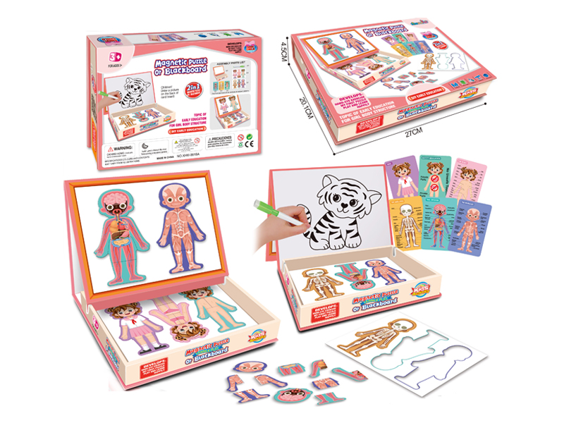 Magnetic DIY Puzzle(Girl'S Body Structure)