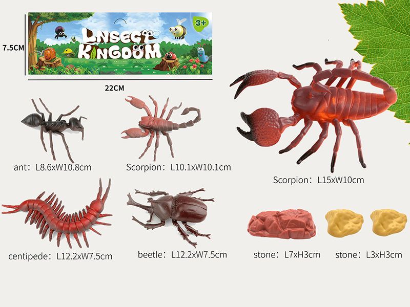 Insect Set