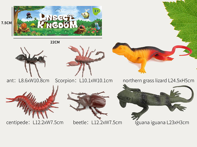 Insect Lizard Set 6PCS