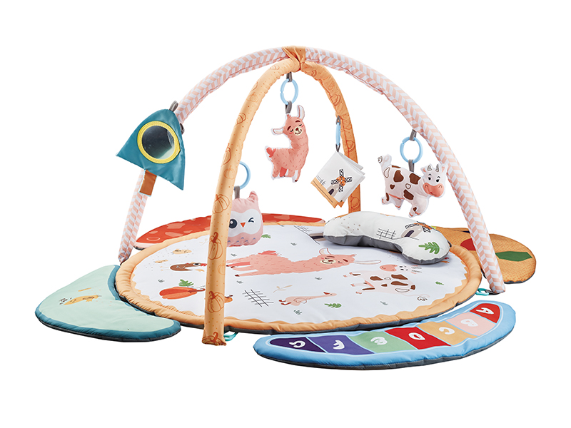 Baby Play Mat Fitness Blanket