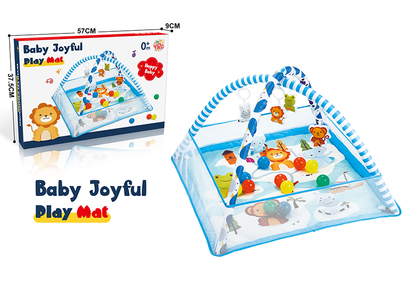 Baby Play Mat