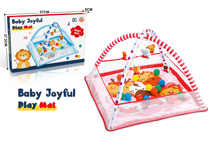 Baby Play Mat