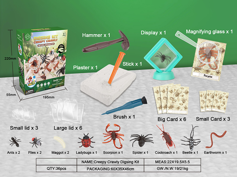 Insect Archaeology Digsing Kit
