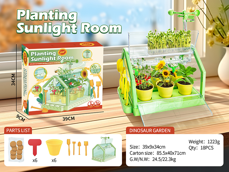 Planting Sunlight Romm