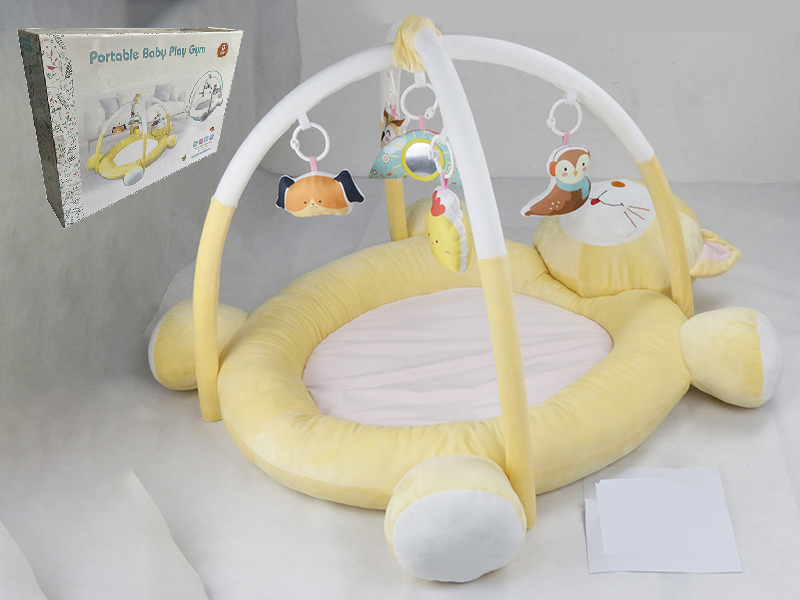 Portable Baby Play Gym