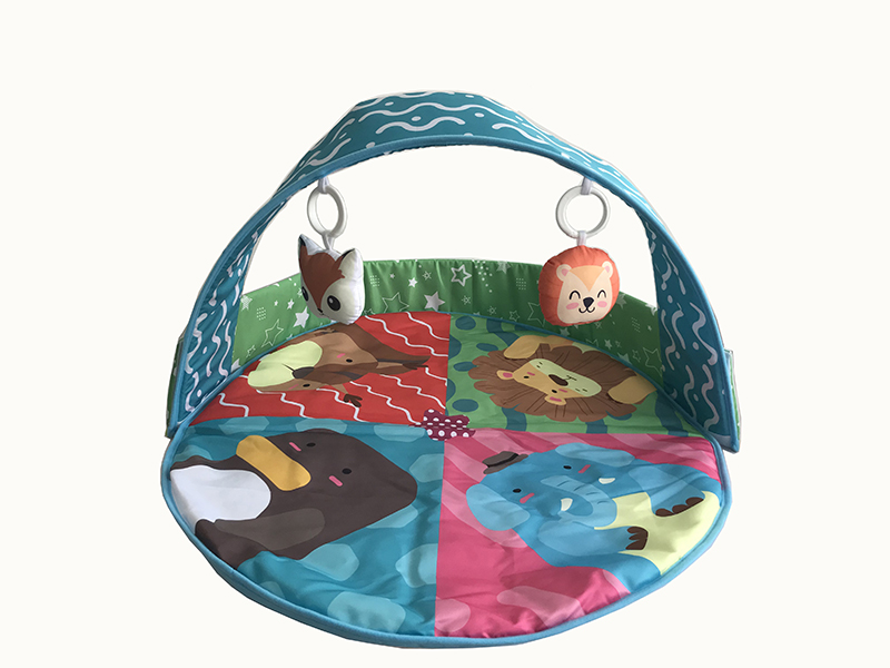 Baby Fitness Blanket